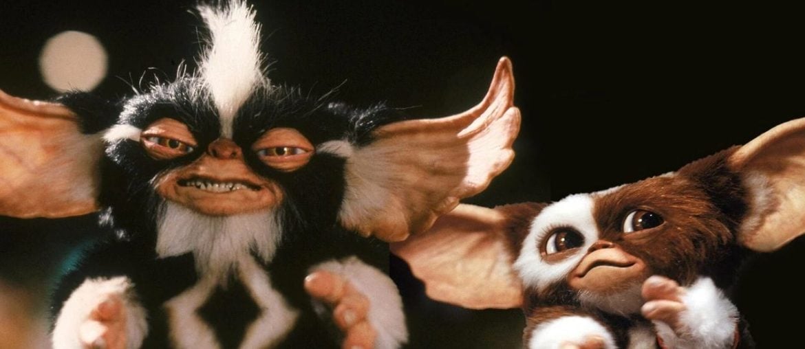 Roteiro de Gremlins 3 está pronto, mas produção aguarda sinal verde de Spielberg