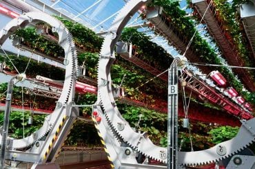 Empresa de aspiradores e ventiladores agora cultiva morangos sistema de agricultura inteligente