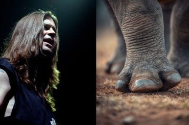 Rinoceronte ameaçado ganha o nome de Ozzy em homenagem ao astro do rock