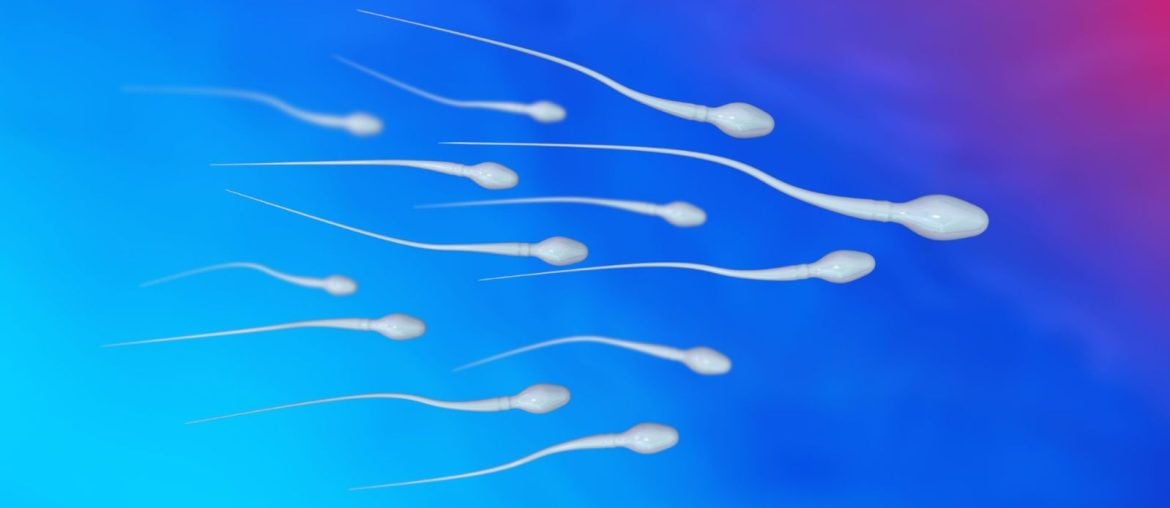 Estresse na infância pode deixar marcas no esperma e afetar futuras gerações, aponta estudo