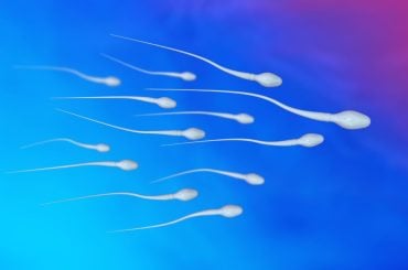 Estresse na infância pode deixar marcas no esperma e afetar futuras gerações, aponta estudo
