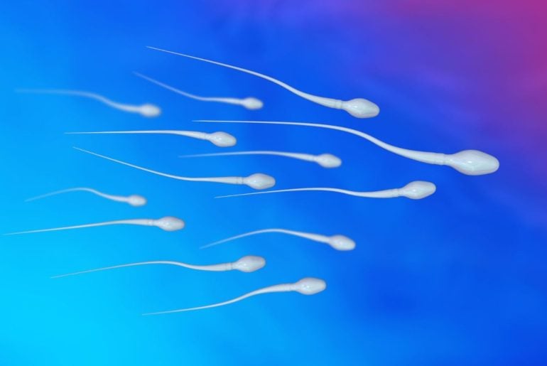 Estresse na infância pode deixar marcas no esperma e afetar futuras gerações, aponta estudo