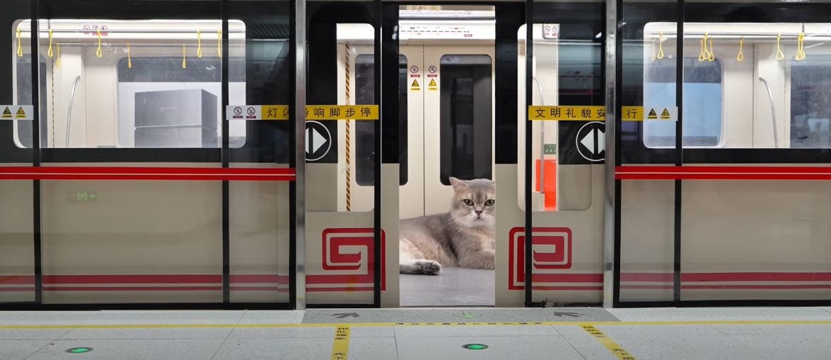 Engenheiro constrói estação de metrô em miniatura (e funcional) para seus gatos
