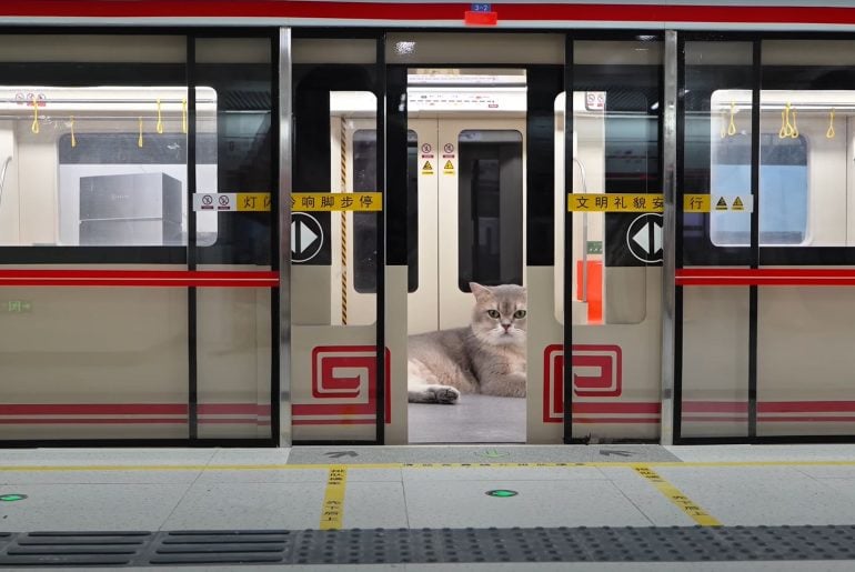 Engenheiro constrói estação de metrô em miniatura (e funcional) para seus gatos