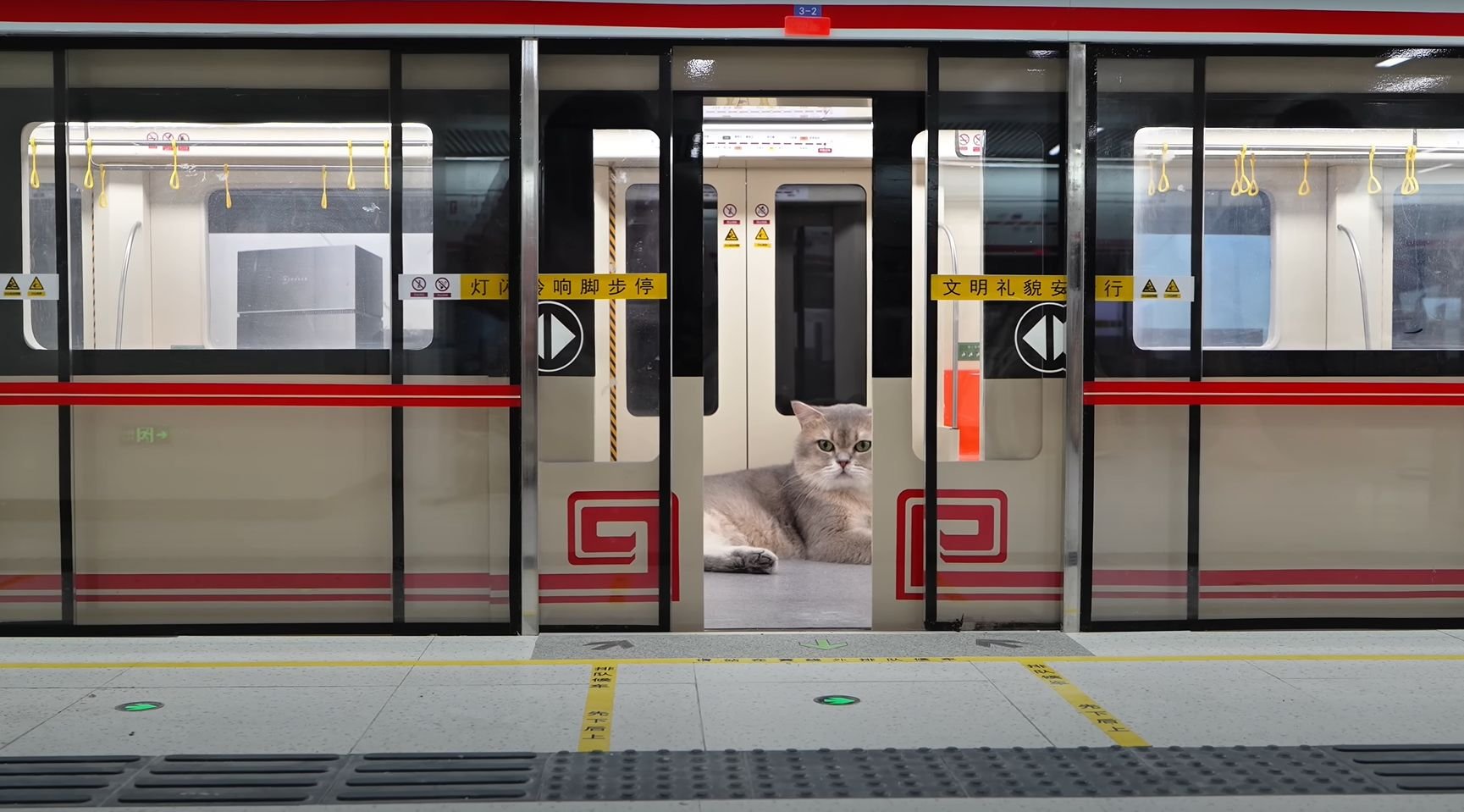 Engenheiro constrói estação de metrô em miniatura (e funcional) para seus gatos
