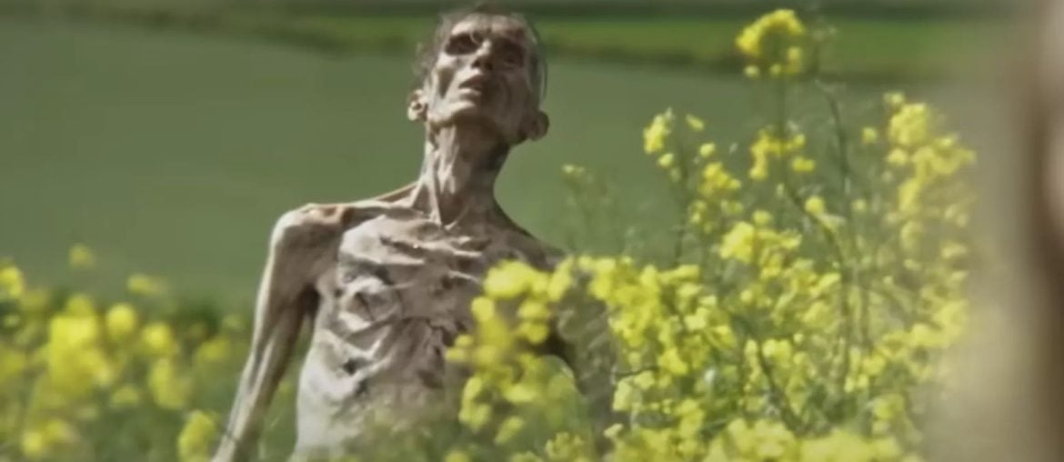 Cillian Murphy reage com humor a fãs que o confundiram com zumbi em trailer de 28 Anos Depois