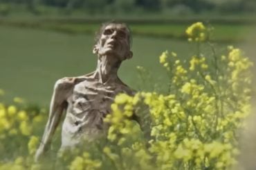 Cillian Murphy reage com humor a fãs que o confundiram com zumbi em trailer de 28 Anos Depois