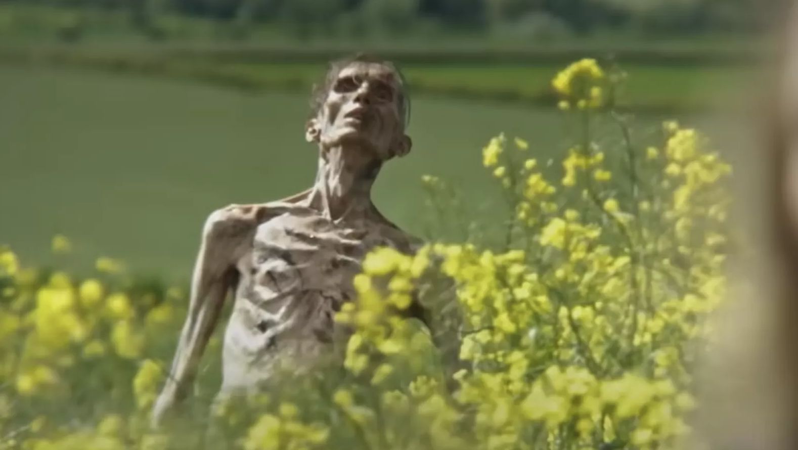 Cillian Murphy reage com humor a fãs que o confundiram com zumbi em trailer de 28 Anos Depois