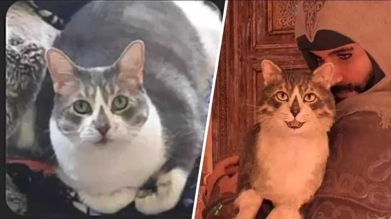 Gato Assassin’s Creed vira personagem no jogo em homenagem póstuma comovente