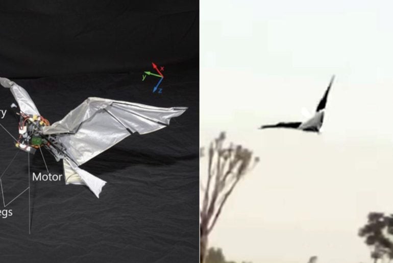 RoboFalcon 2.0: Pesquisadores criam robô que imita com perfeição o voo de um falcão