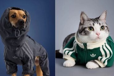 Adidas para Pets: Marca lança coleção de roupas para pets com estilo streetwear e proteção contra o frio