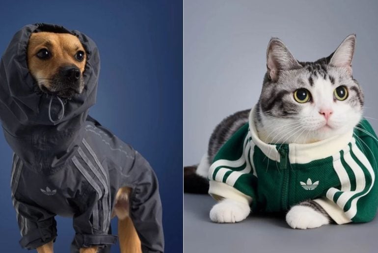 Adidas para Pets: Marca lança coleção de roupas para pets com estilo streetwear e proteção contra o frio