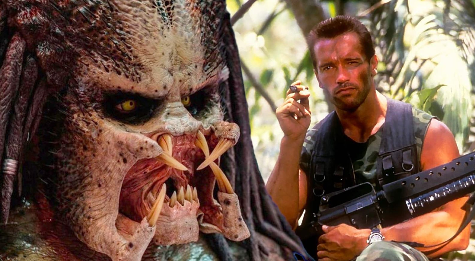 Arnold Schwarzenegger pode voltar ao universo Predador: Conversas já aconteceram