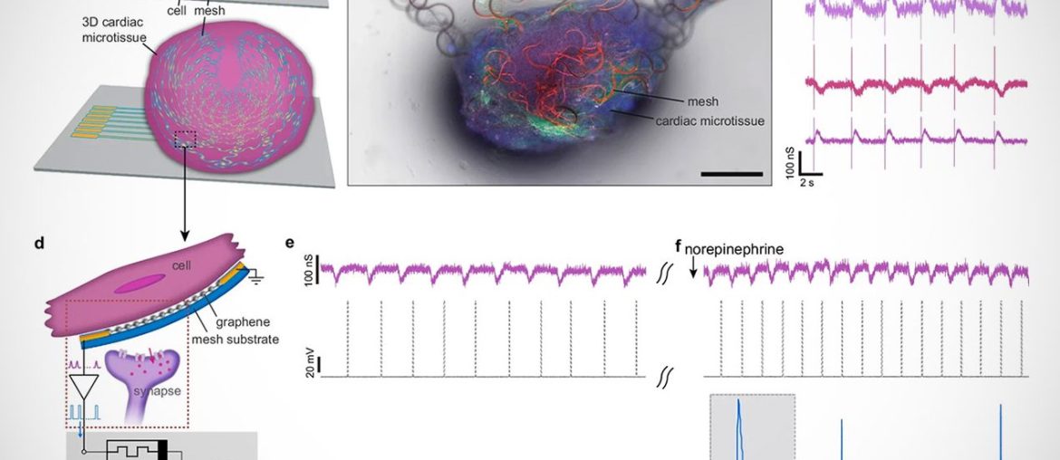 Neurônio Artificial: Cientistas Recriam Célula Cerebral com Eficiência Biológica