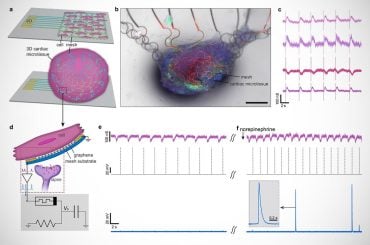 Neurônio Artificial: Cientistas Recriam Célula Cerebral com Eficiência Biológica