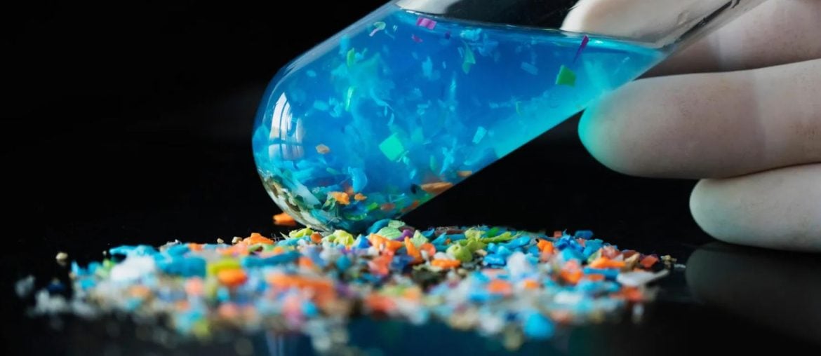 Microplásticos estão enfraquecendo nossos ossos, revela estudo