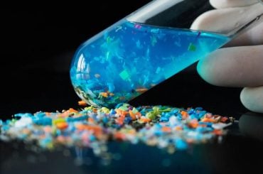 Microplásticos estão enfraquecendo nossos ossos, revela estudo