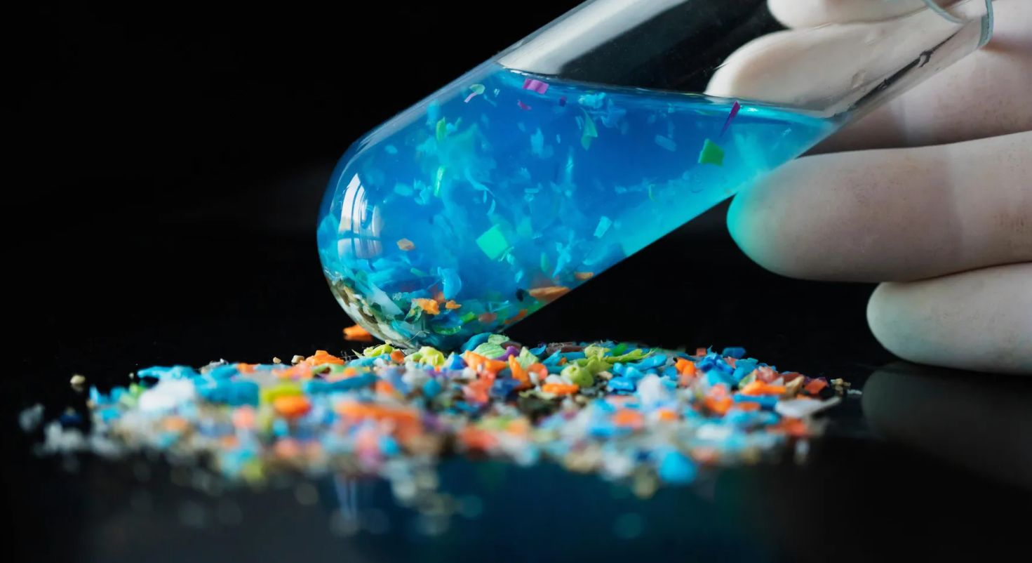 Microplásticos estão enfraquecendo nossos ossos, revela estudo