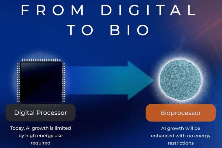 Computadores do Futuro: Startup cria sistema usando mini cérebros humanos como processadores