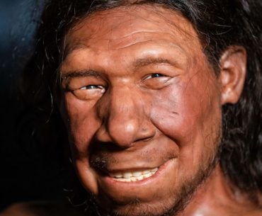 Novo estudo indica que humanos e neandertais trocaram beijos no passado