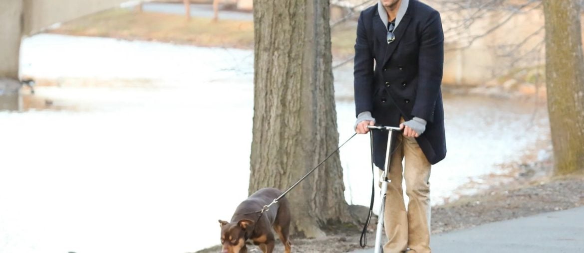 Tom Brady revela que seu cachorro é um clone, e a história é digna de ficção científica