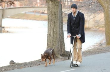 Tom Brady revela que seu cachorro é um clone, e a história é digna de ficção científica