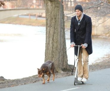 Tom Brady revela que seu cachorro é um clone, e a história é digna de ficção científica