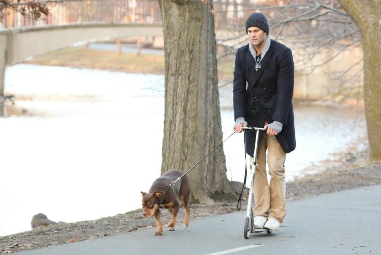 Tom Brady revela que seu cachorro é um clone, e a história é digna de ficção científica