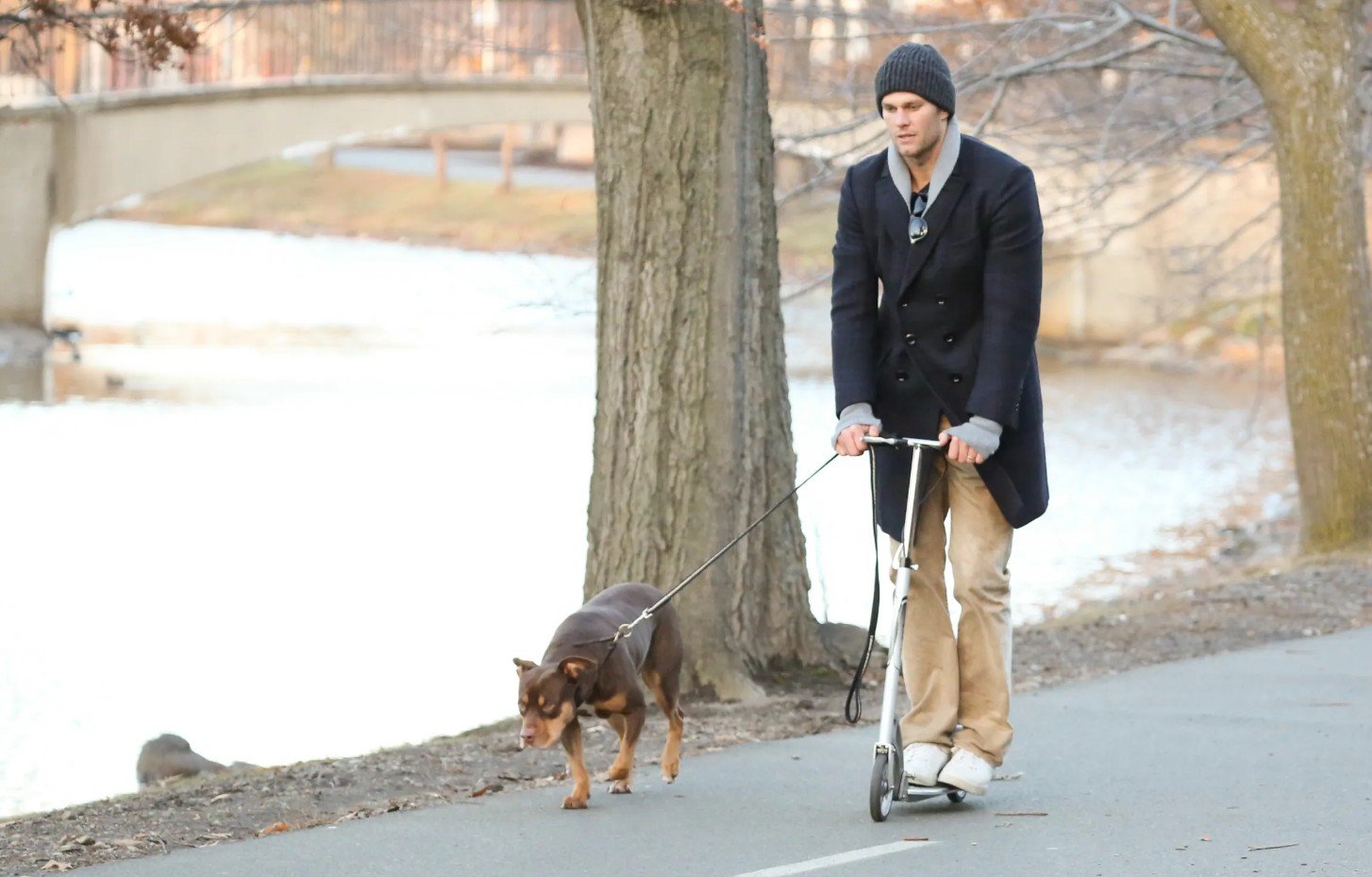 Tom Brady revela que seu cachorro é um clone, e a história é digna de ficção científica