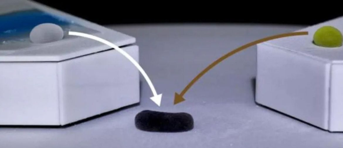 Cientistas criam robôs líquidos em forma de jujuba que se movem e se regeneram como células vivas