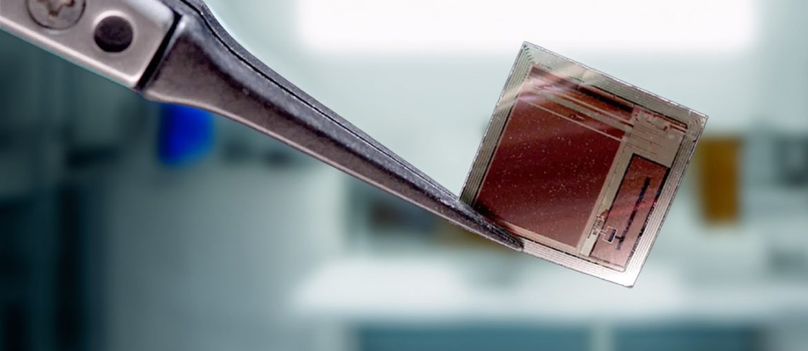 Implante cerebral do tamanho de um selo promete revolucionar a interface entre cérebro e máquinas