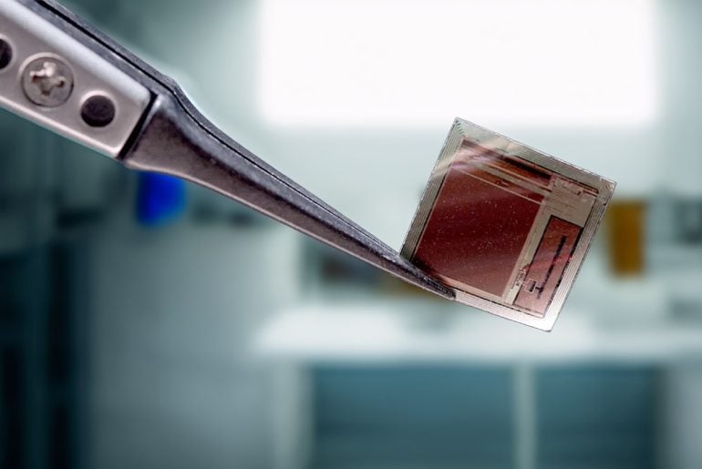 Implante cerebral do tamanho de um selo promete revolucionar a interface entre cérebro e máquinas