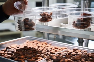 Chocolate cultivado em laboratório pode chegar ao mercado até 2026 e mudar a indústria do cacau