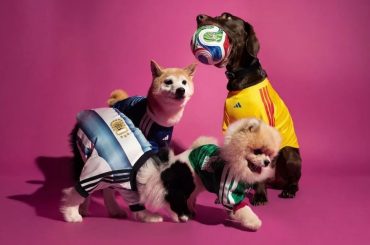 Adidas lança camisas oficiais da Copa do Mundo 2026 para pets e leva o futebol aos torcedores de quatro patas