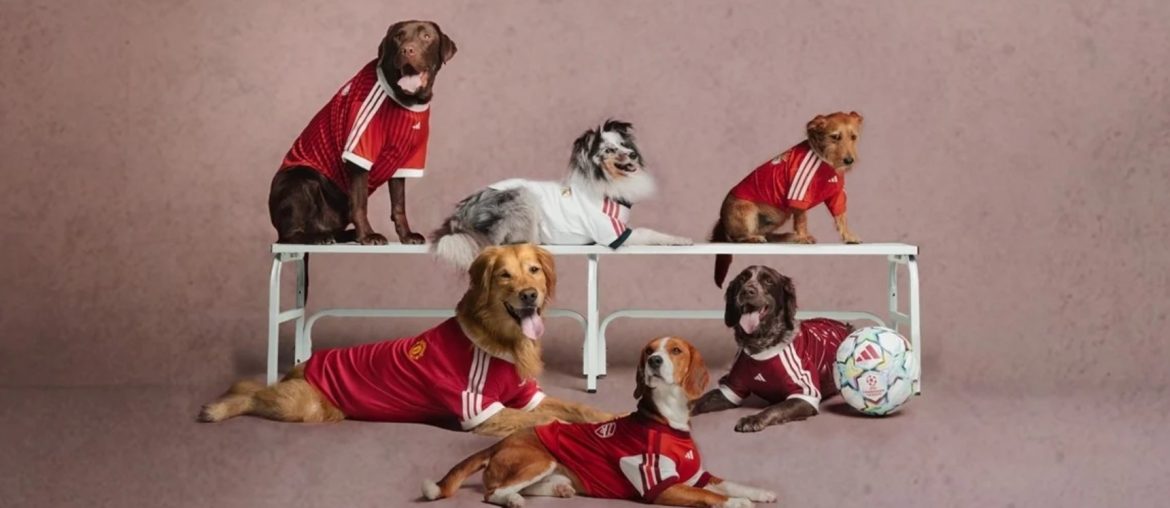 Adidas lança camisas de futebol para Pets de Real Madrid, Arsenal e outros times