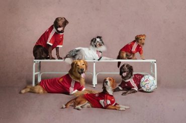 Adidas lança camisas de futebol para Pets de Real Madrid, Arsenal e outros times
