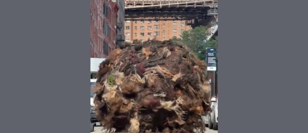 Bola gigante de cabelo do tamanho de um carro invade as ruas de Nova York