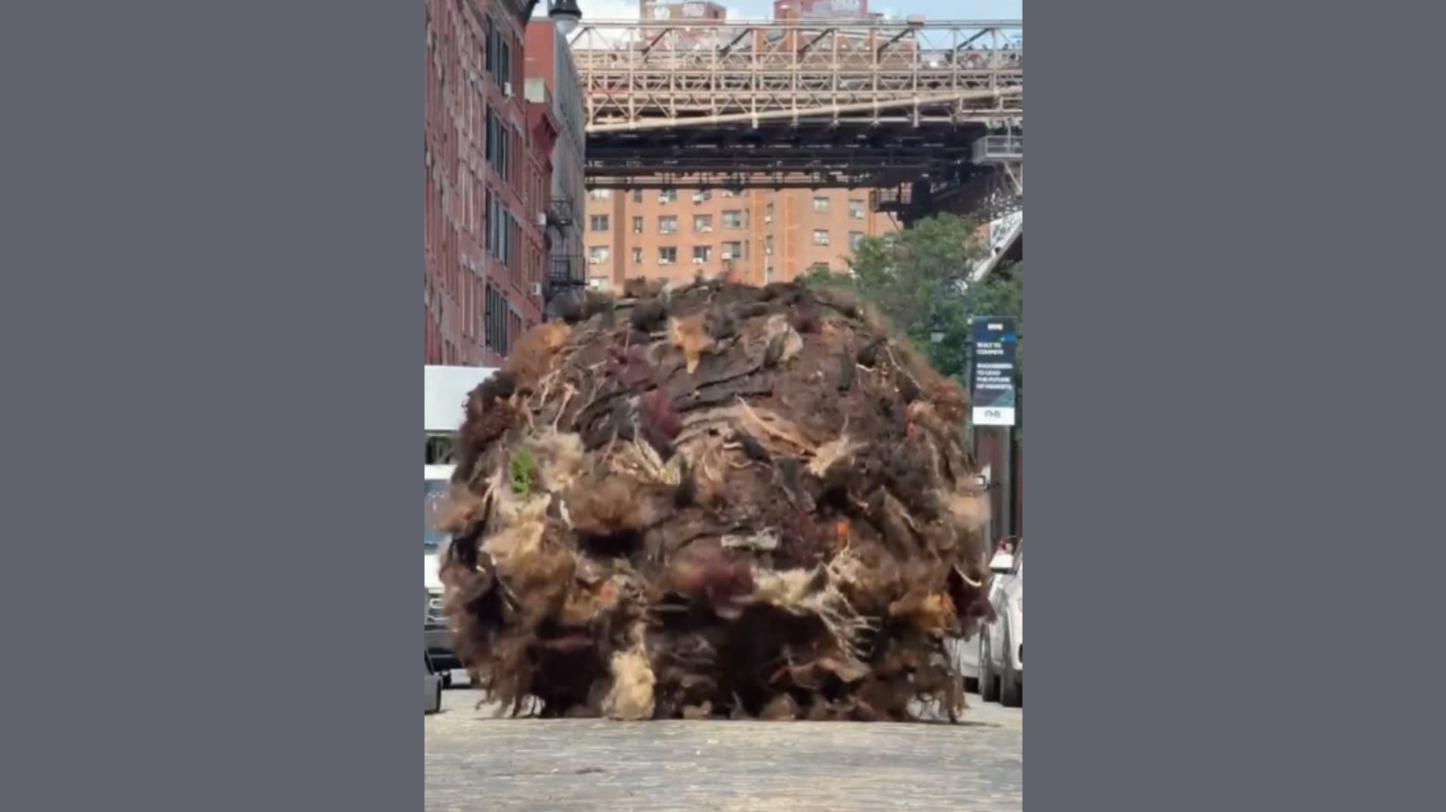 Bola gigante de cabelo do tamanho de um carro invade as ruas de Nova York