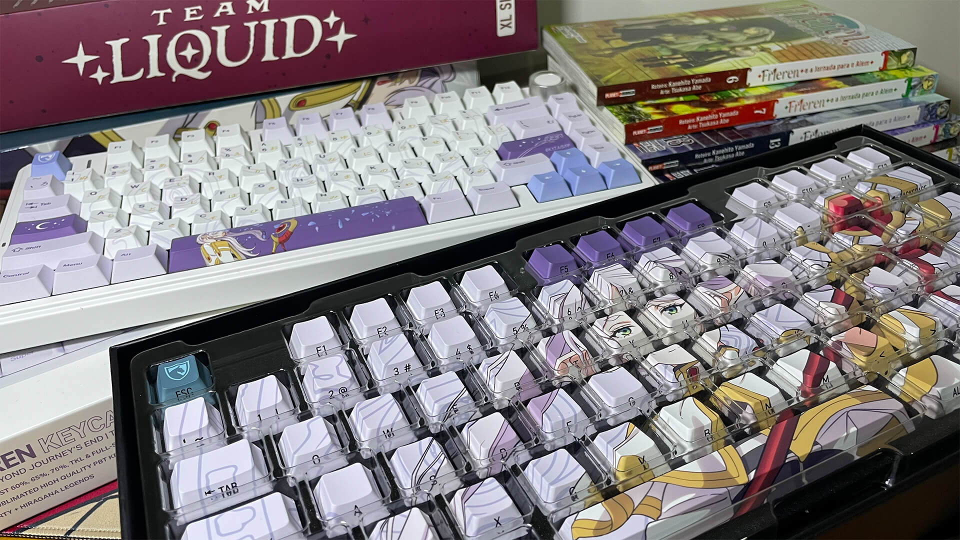 Team Liquid e Frieren